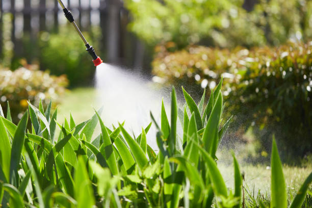 24/7 Emergency Pest Control experts in Spindale, NC